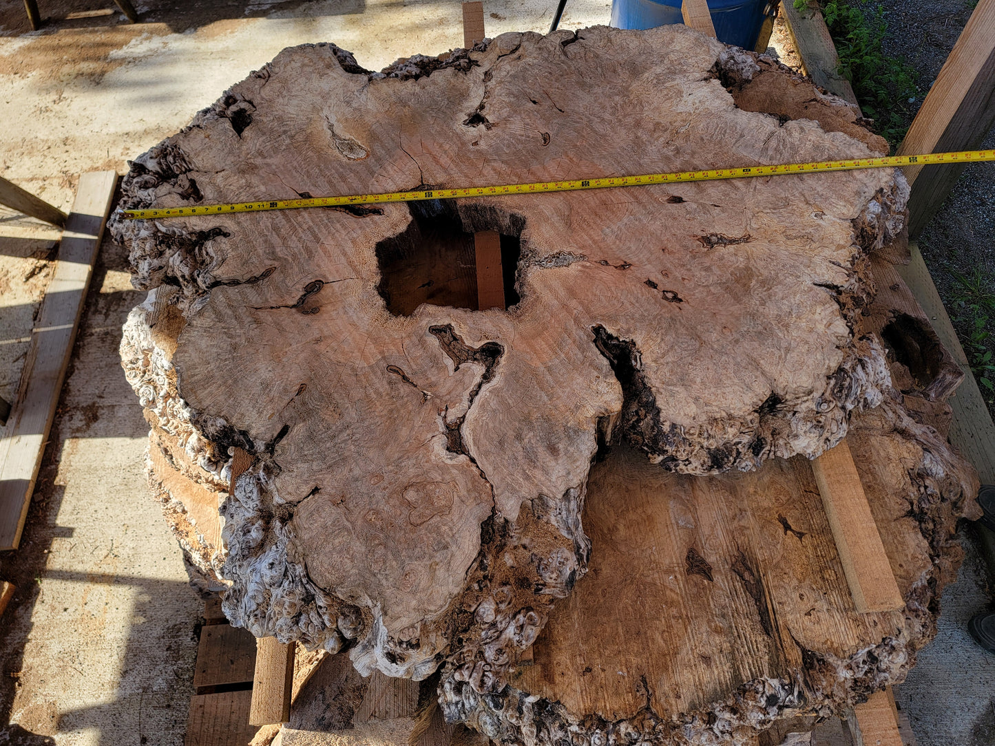 Natural Live Edge Maple Burl Wood Slab Dinning Coffee Table