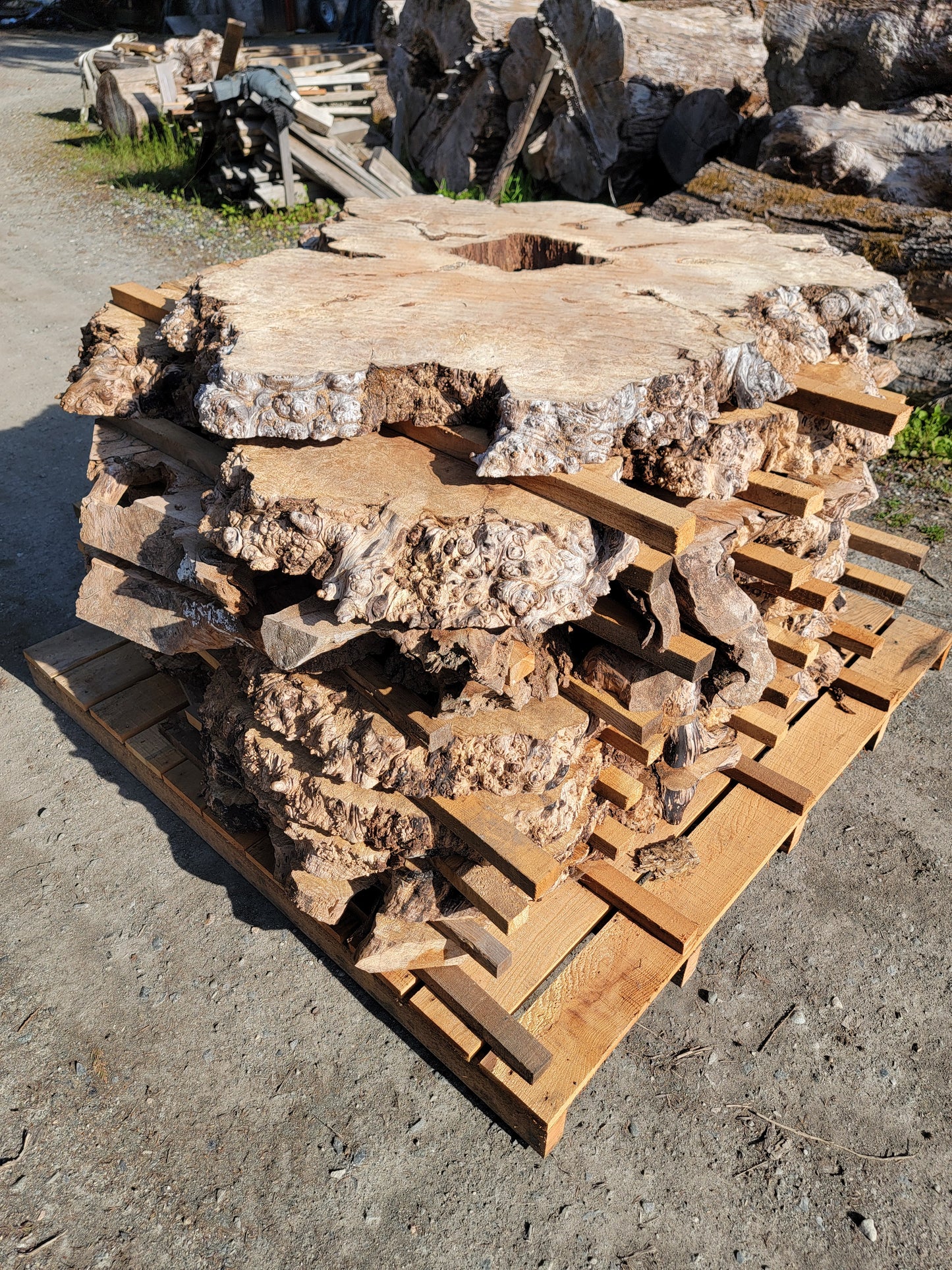 Natural Live Edge Maple Burl Wood Slab Dinning Coffee Table