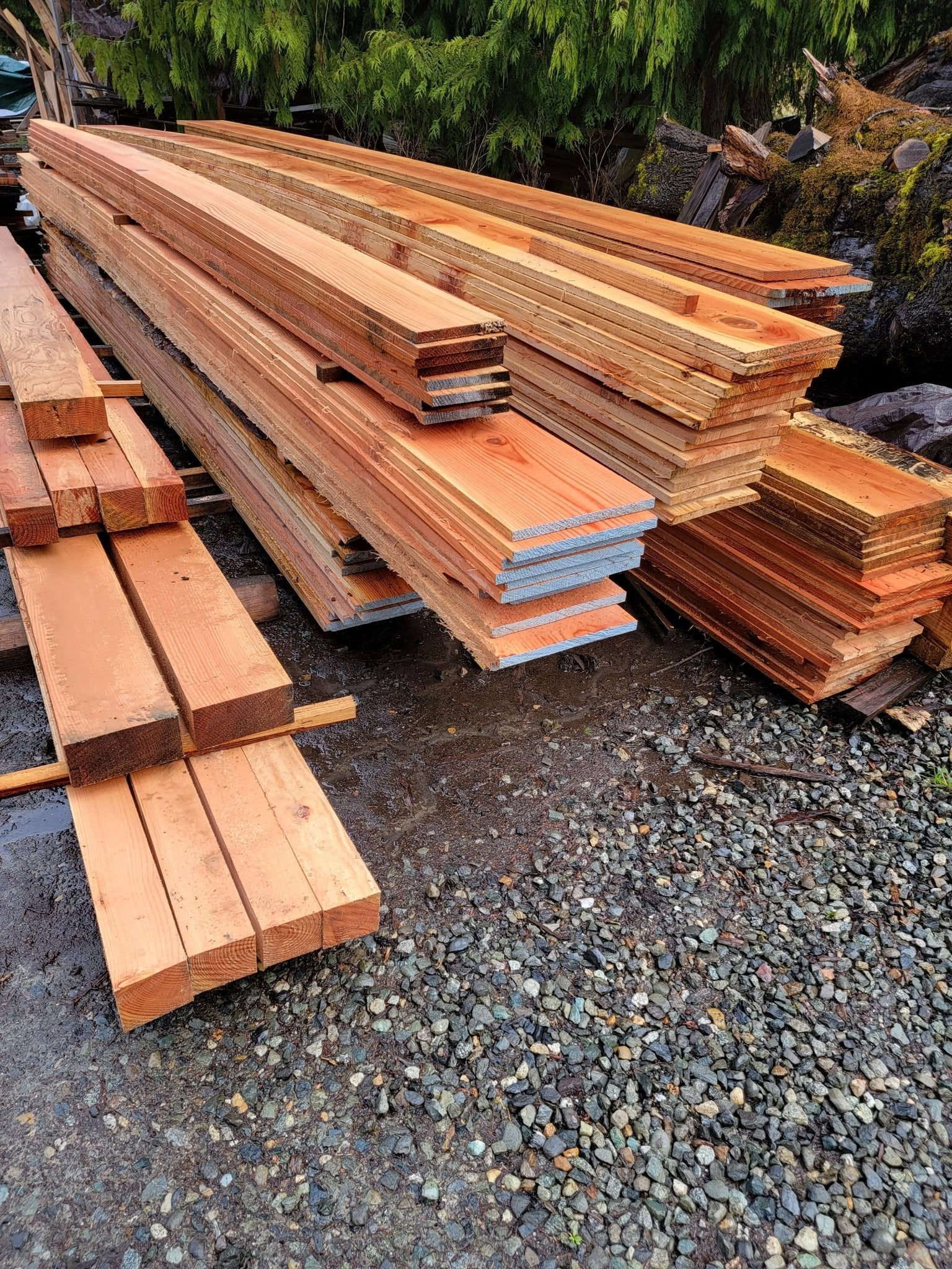 Rough Cut Western Red Cedar 1" x 6" x 6ft Fence Board - Stormo Hardwoods